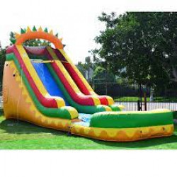 dino20slide2 1691627571 Bowser Splash Slide